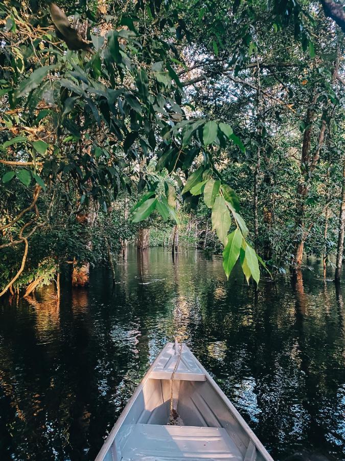 Amazon Arowana Lodge Careiro Exteriér fotografie