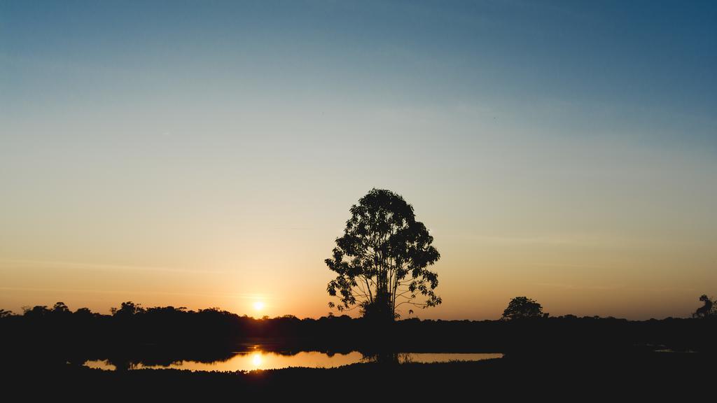Amazon Arowana Lodge Careiro Exteriér fotografie