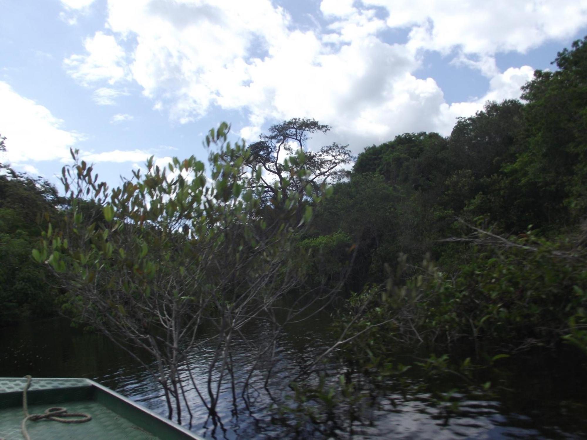 Amazon Arowana Lodge Careiro Exteriér fotografie